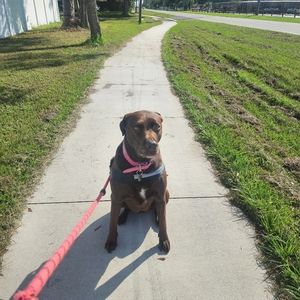 Meet your Posher, Shelly